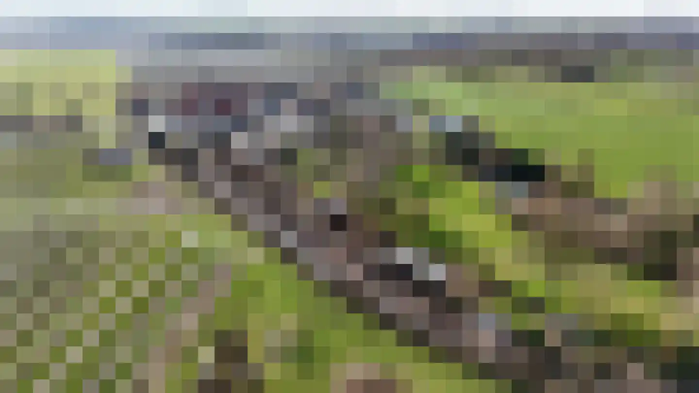 Hogeweg 15 Poortvliet thumbnail 31