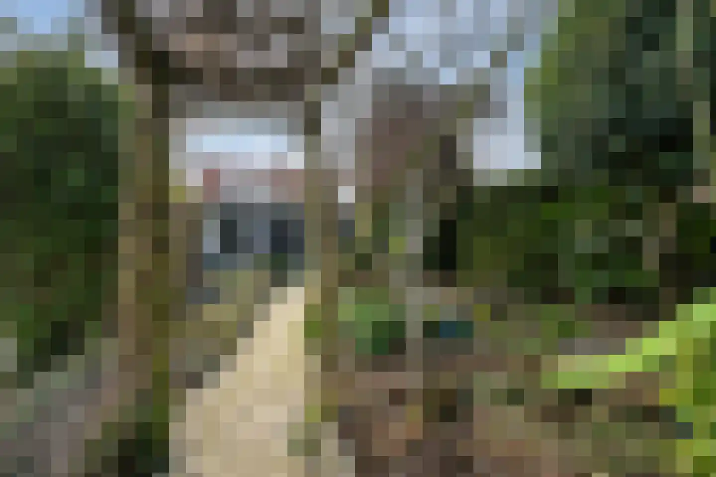 Hogeweg 15 Poortvliet thumbnail 32
