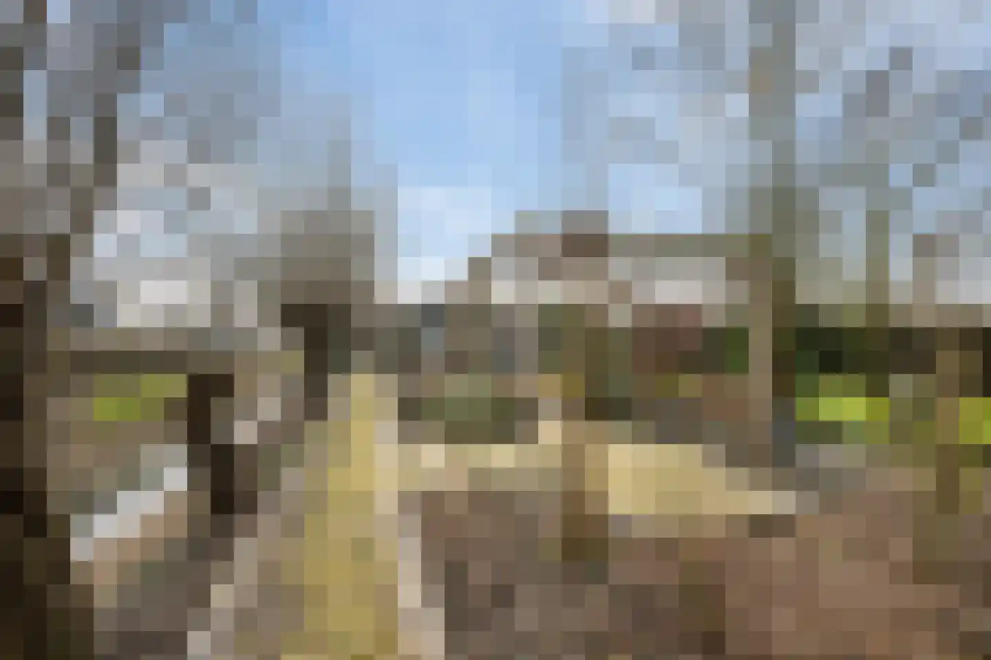 Hogeweg 15 Poortvliet thumbnail 33