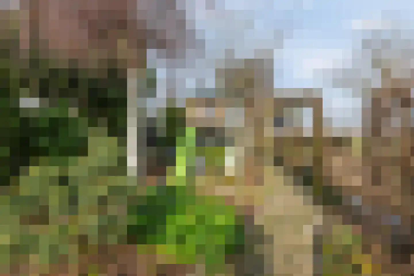 Hogeweg 15 Poortvliet thumbnail 36