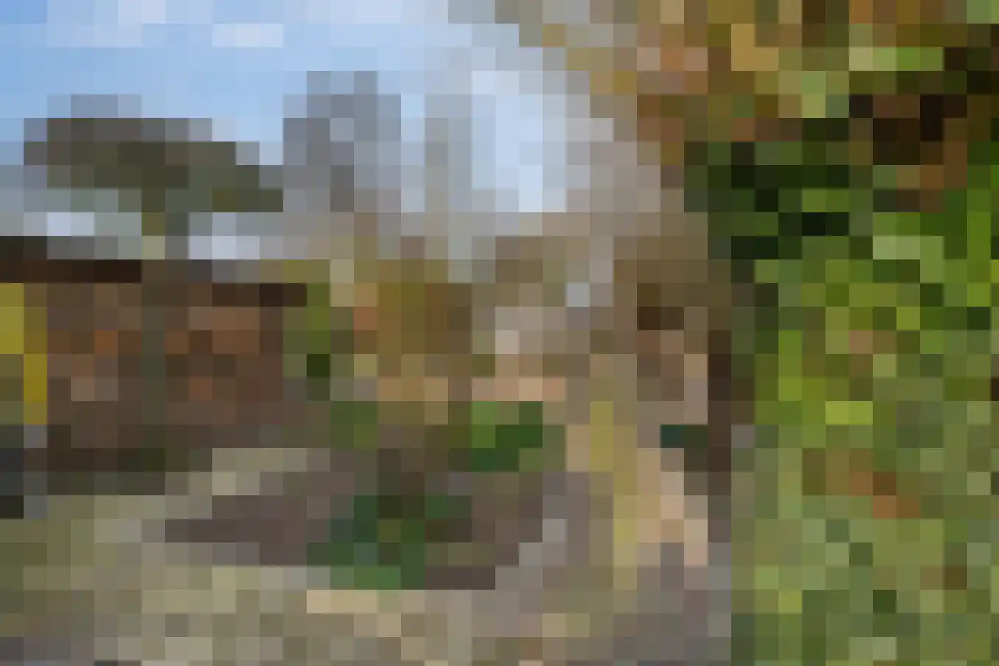 Hogeweg 15 Poortvliet thumbnail 37