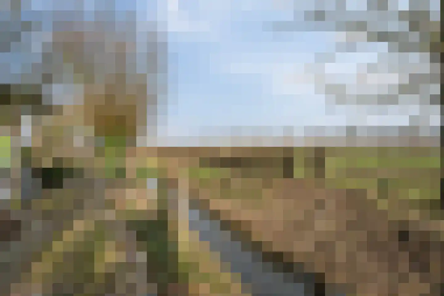 Hogeweg 15 Poortvliet thumbnail 38