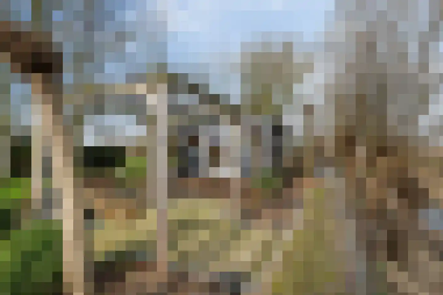 Hogeweg 15 Poortvliet thumbnail 39