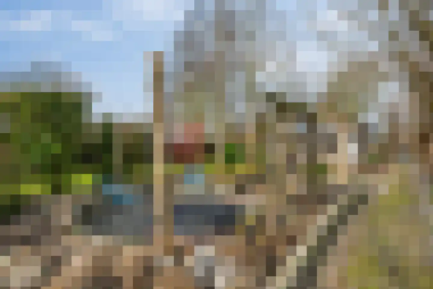 Hogeweg 15 Poortvliet thumbnail 41