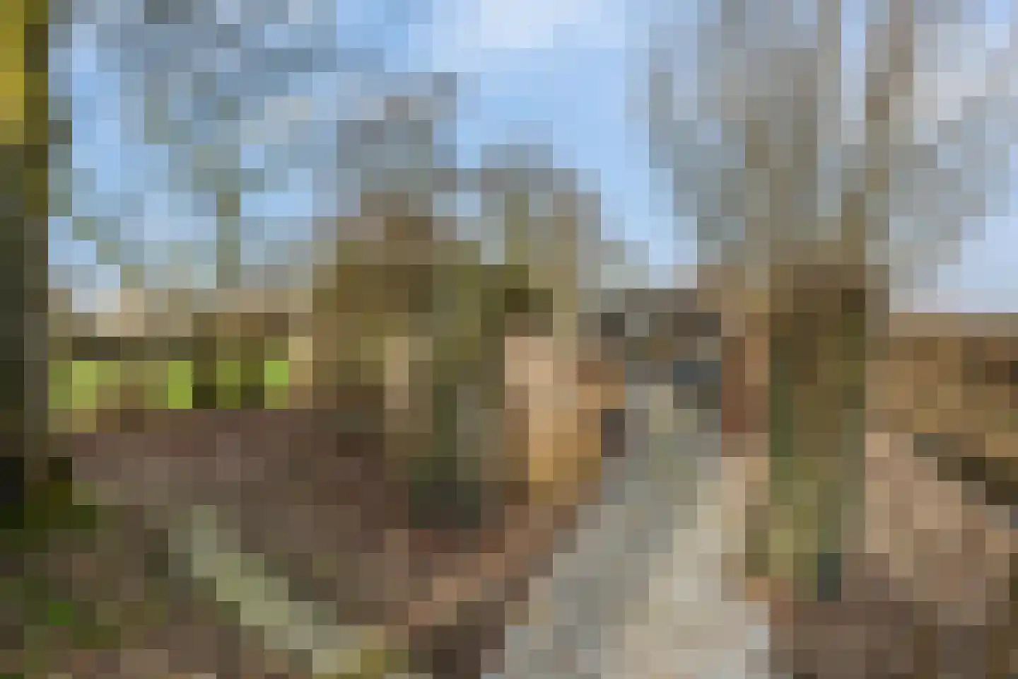 Hogeweg 15 Poortvliet thumbnail 42