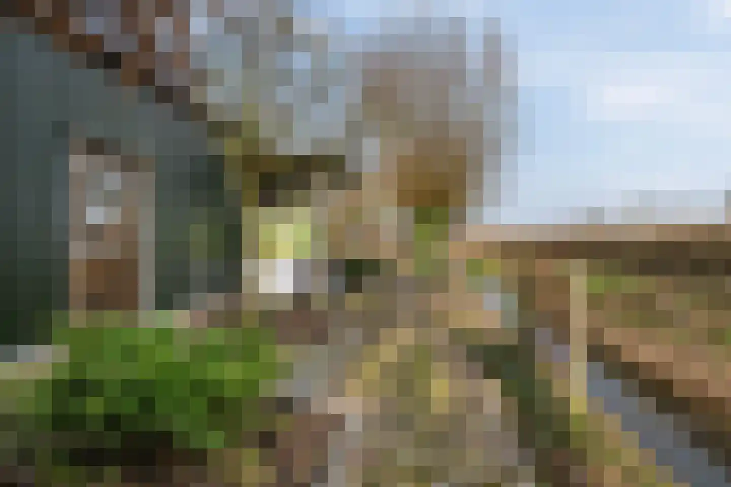 Hogeweg 15 Poortvliet thumbnail 44