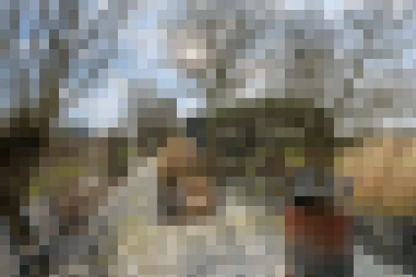 Hogeweg 15 Poortvliet thumbnail 46