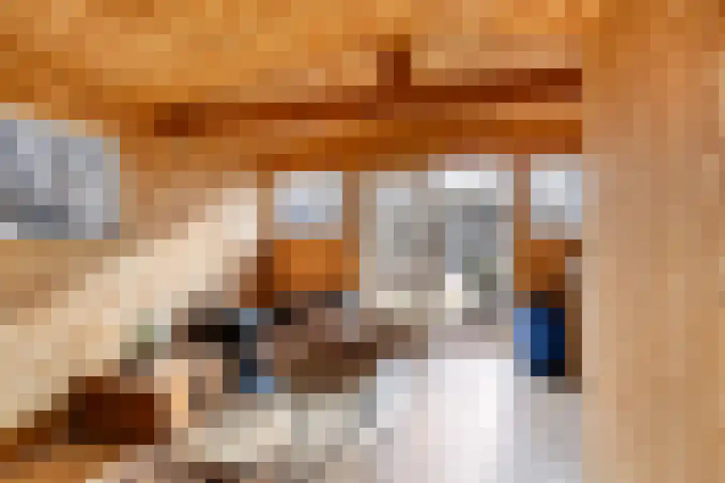 Hogeweg 15 Poortvliet thumbnail 50