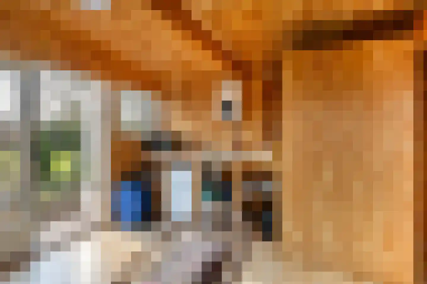Hogeweg 15 Poortvliet thumbnail 51