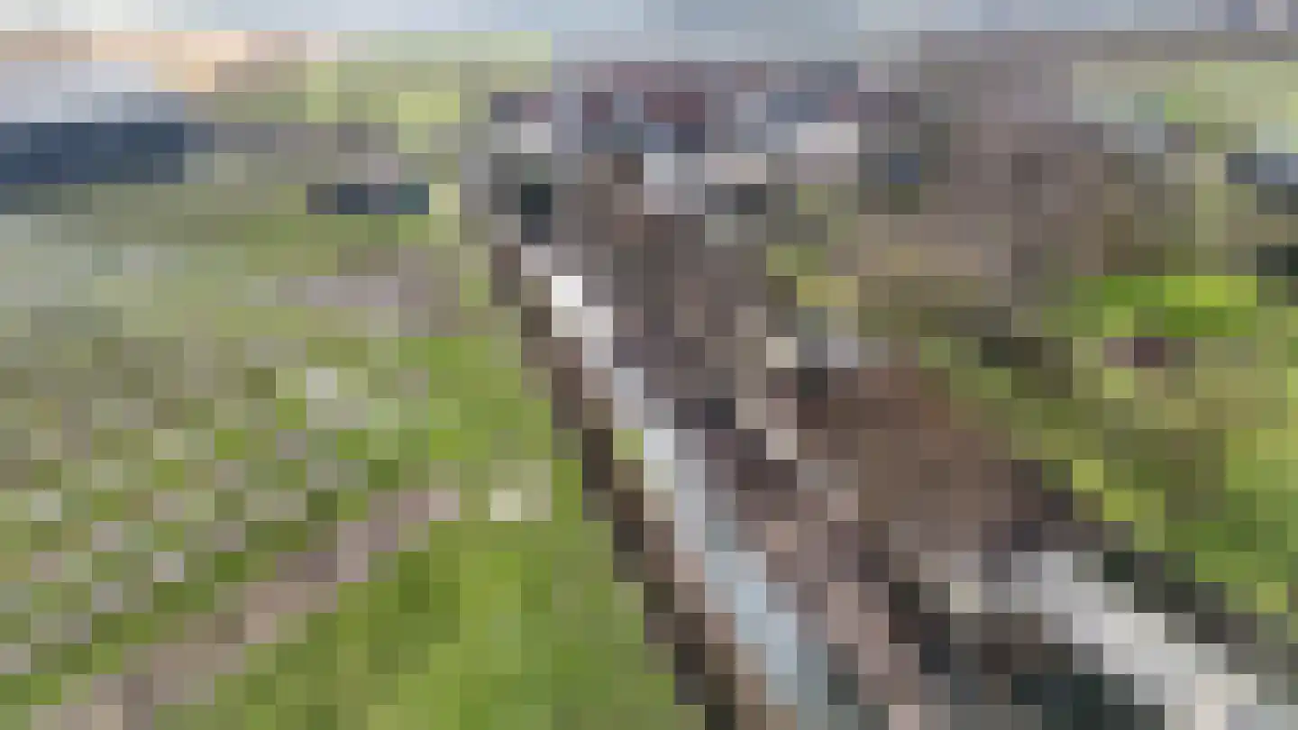 Hogeweg 15 Poortvliet thumbnail 59