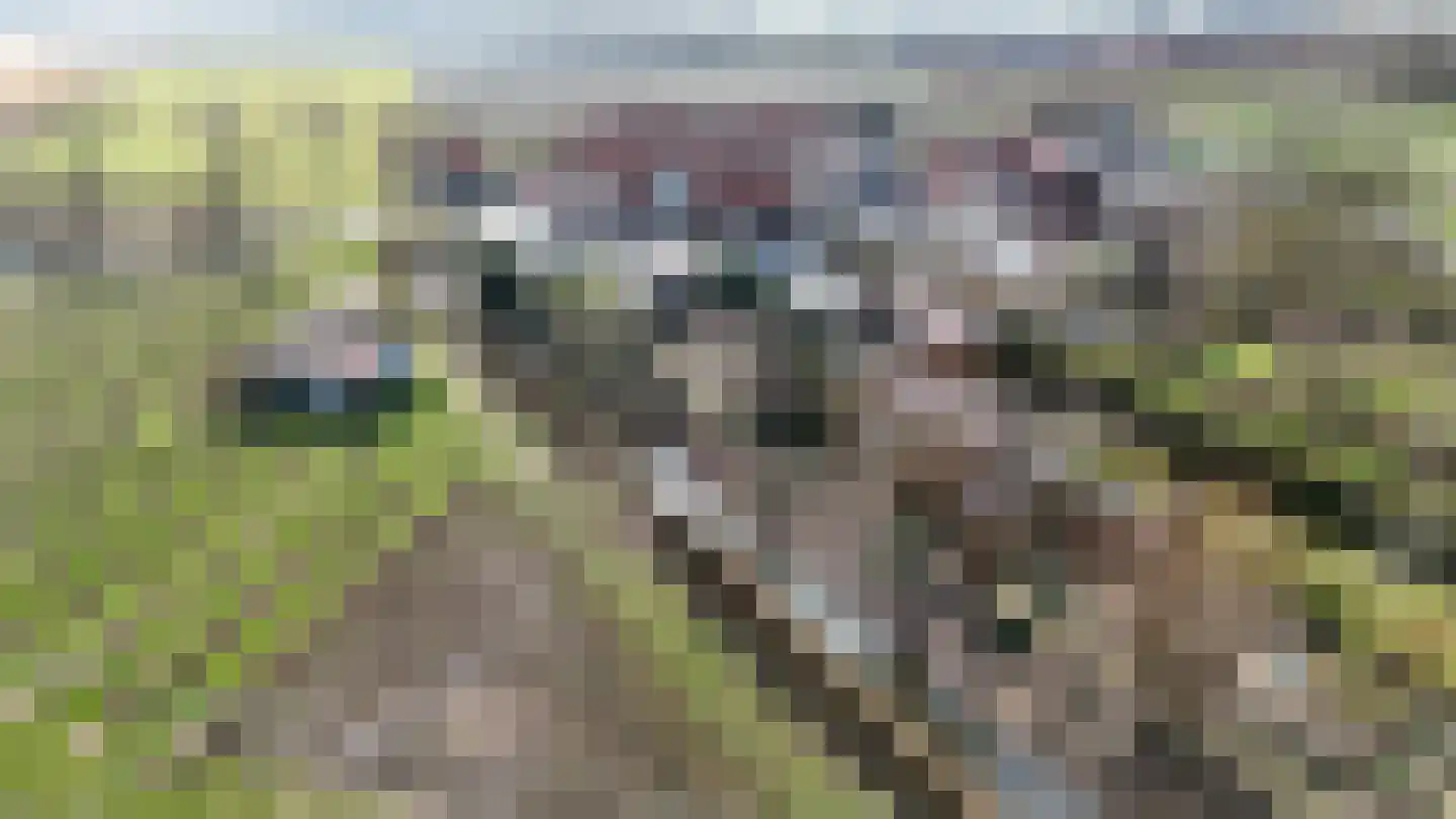 Hogeweg 15 Poortvliet thumbnail 60