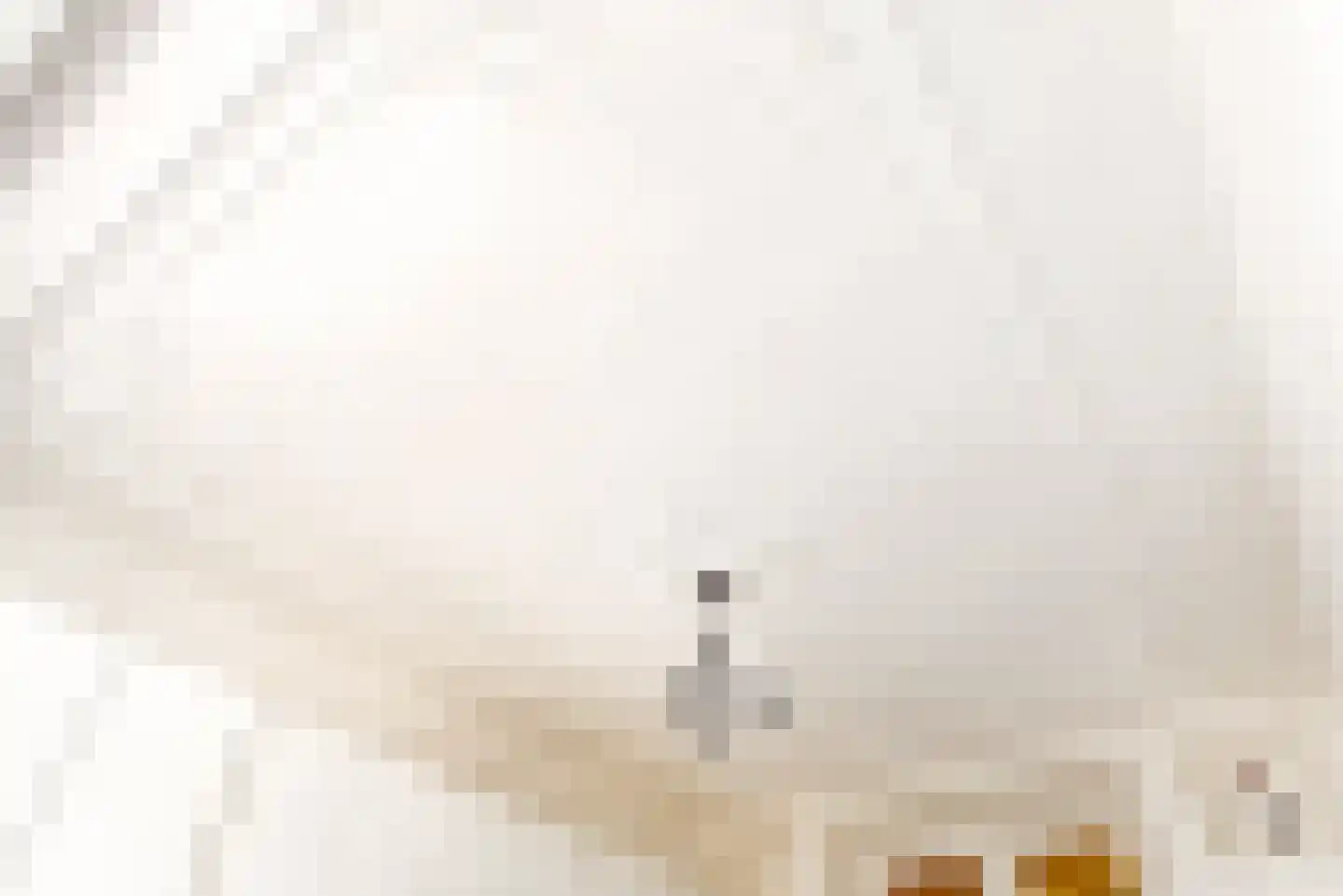 Hogeweg 16 Amsterdam thumbnail 22