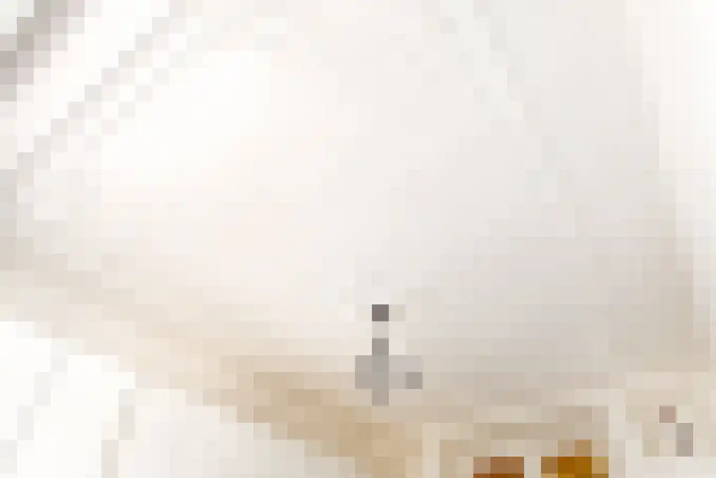 Hogeweg 16 Amsterdam thumbnail 22