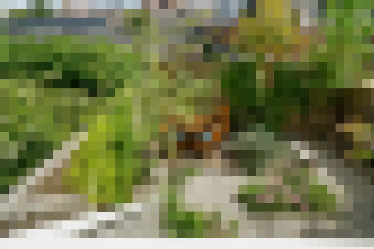 Hogeweg 16 Amsterdam thumbnail 38