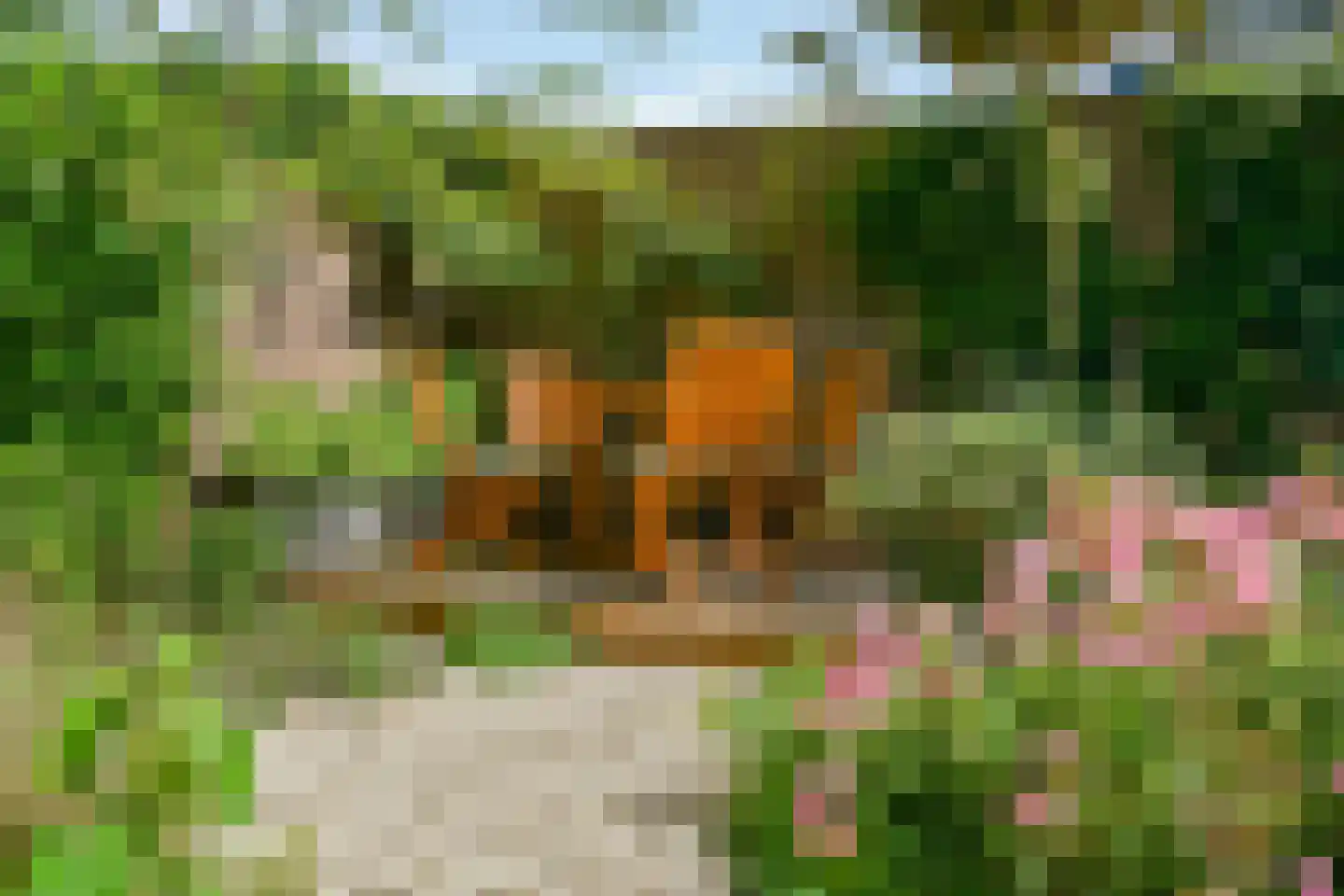 Hogeweg 16 Amsterdam thumbnail 41