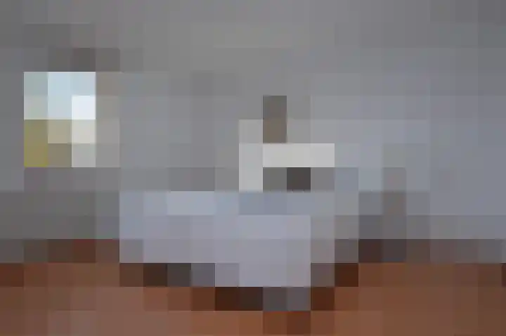 Hogeweg 16 Lierop thumbnail 16