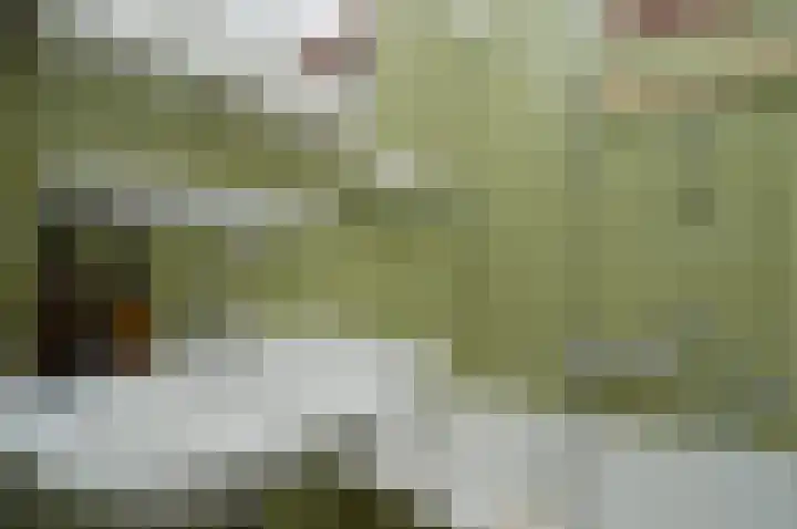 Hogeweg 16 Lierop thumbnail 21