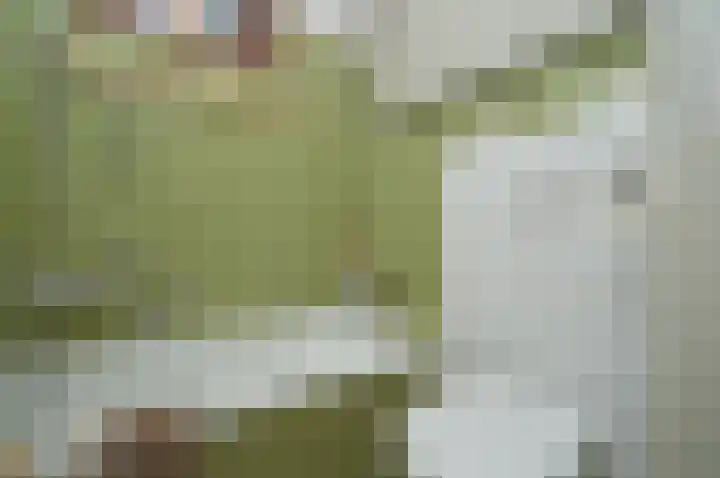 Hogeweg 16 Lierop thumbnail 22