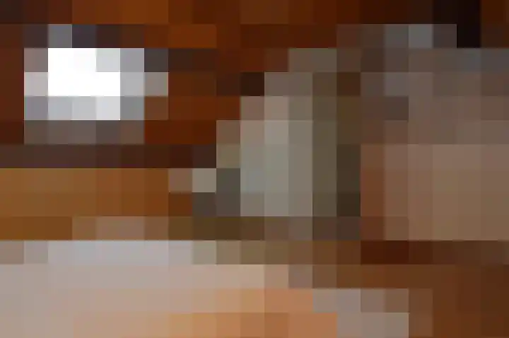 Hogeweg 16 Lierop thumbnail 26