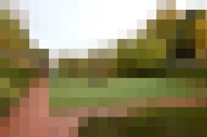Hogeweg 16 Lierop thumbnail 28