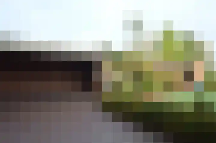 Hogeweg 16 Lierop thumbnail 30