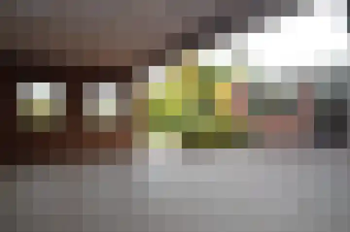 Hogeweg 16 Lierop thumbnail 31