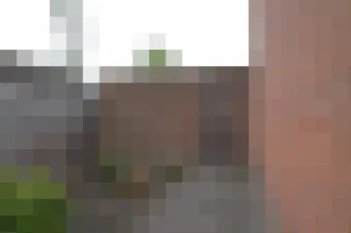 Hogeweg 16 Lierop thumbnail 33
