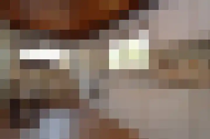 Hogeweg 16 Lierop thumbnail 4