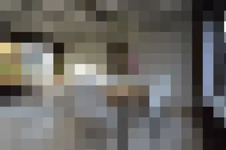 Hogeweg 16 Lierop thumbnail 7