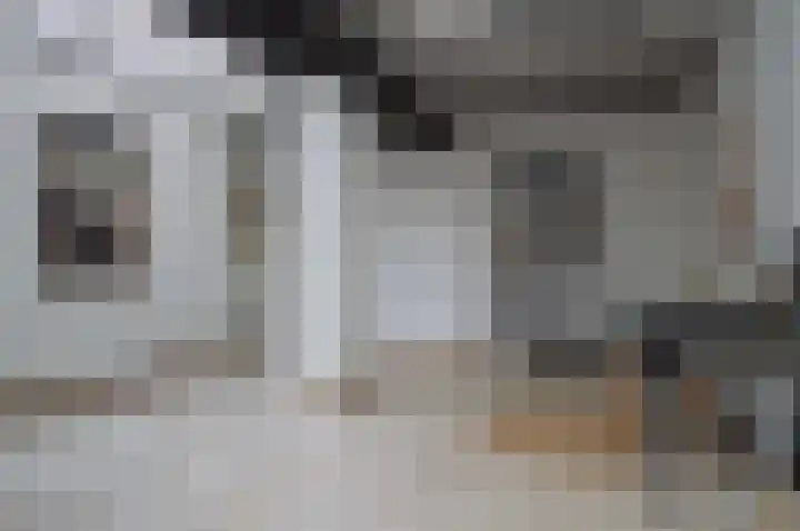Hogeweg 16 Lierop thumbnail 8