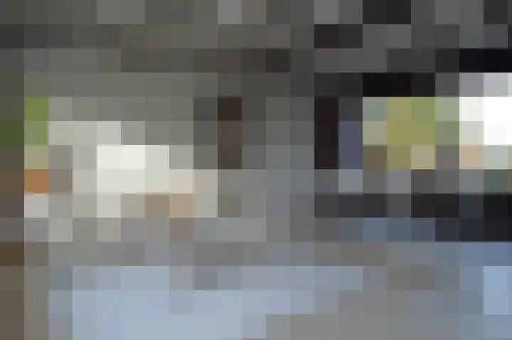 Hogeweg 16 Lierop thumbnail 9