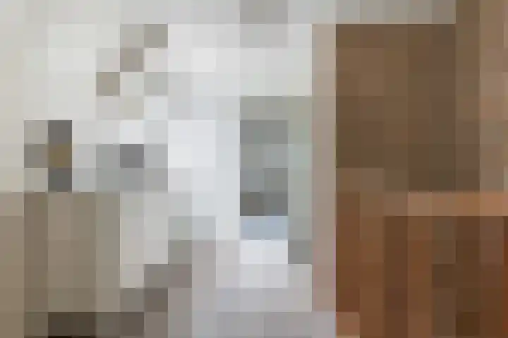 Hogeweg 17 Bathmen thumbnail 16