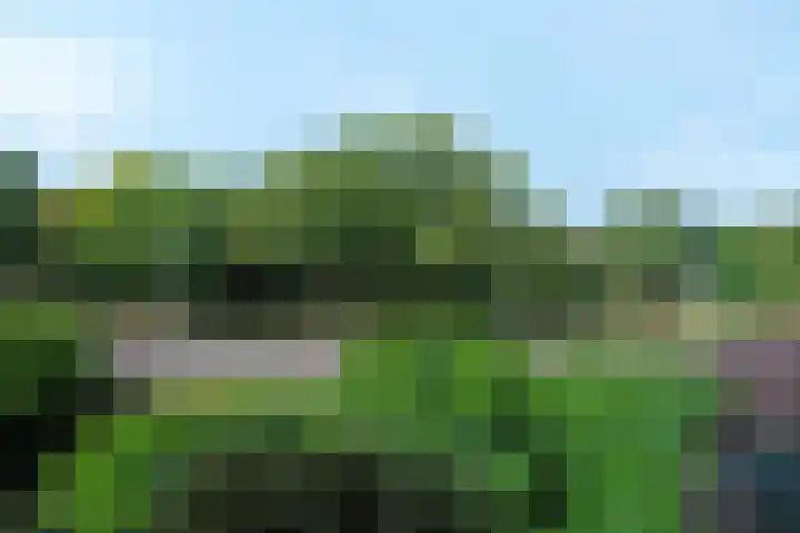 Hogeweg 17 D Amersfoort thumbnail 23