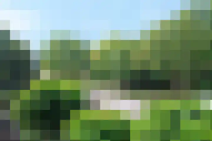 Hogeweg 17 D Amersfoort thumbnail 9