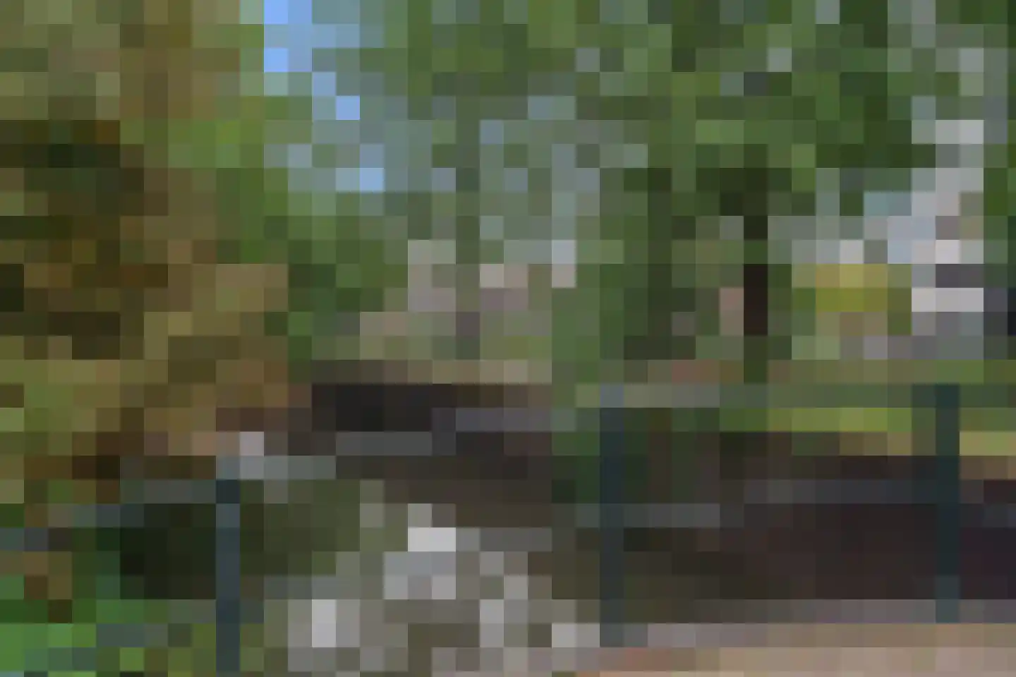 Hogeweg 17 E Amersfoort thumbnail 40