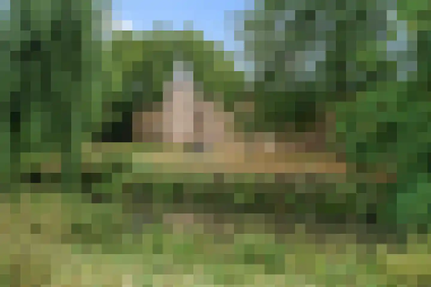 Hogeweg 17 E Amersfoort thumbnail 41