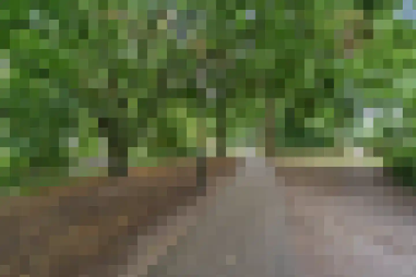 Hogeweg 17 E Amersfoort thumbnail 46