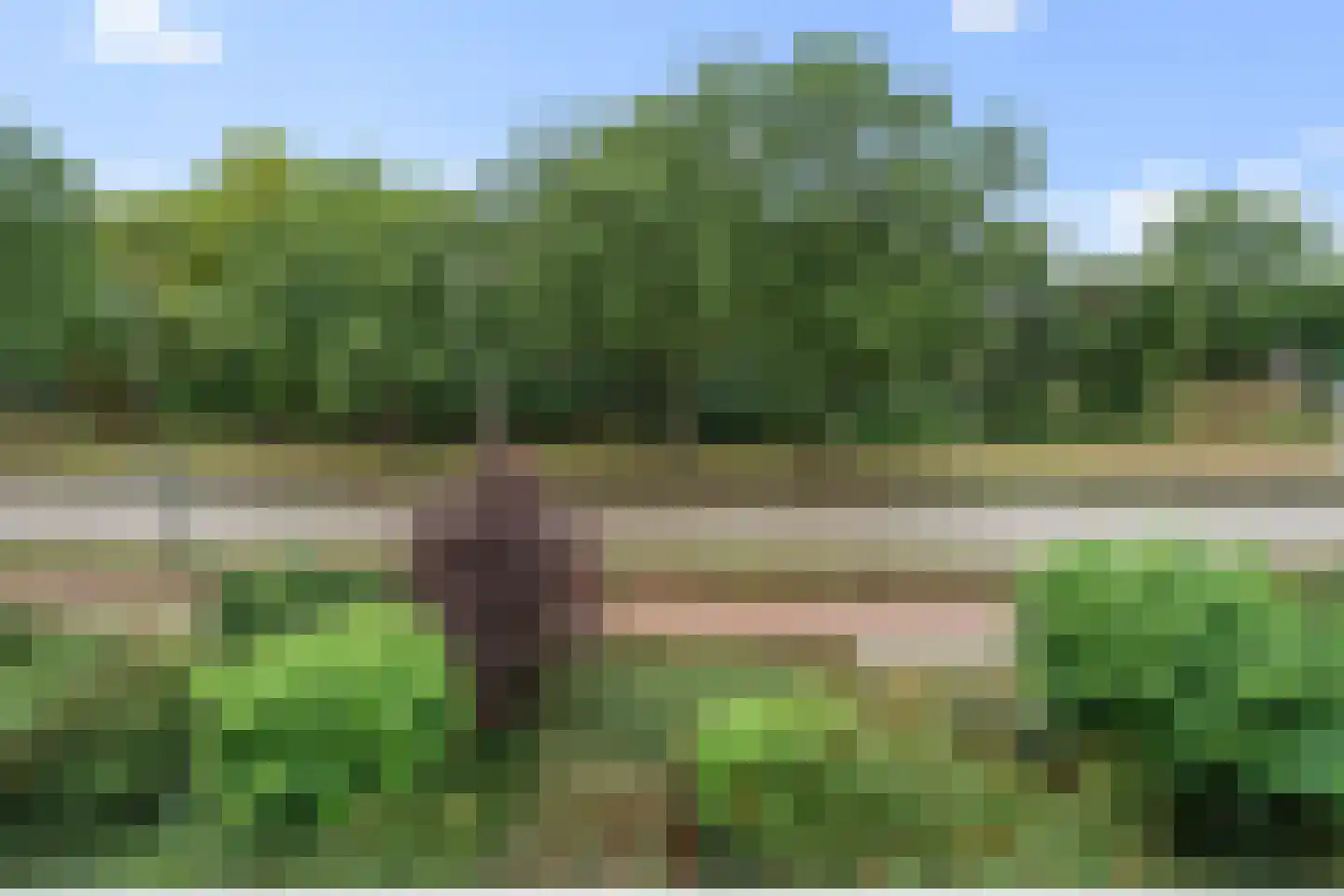 Hogeweg 17 E Amersfoort thumbnail 7