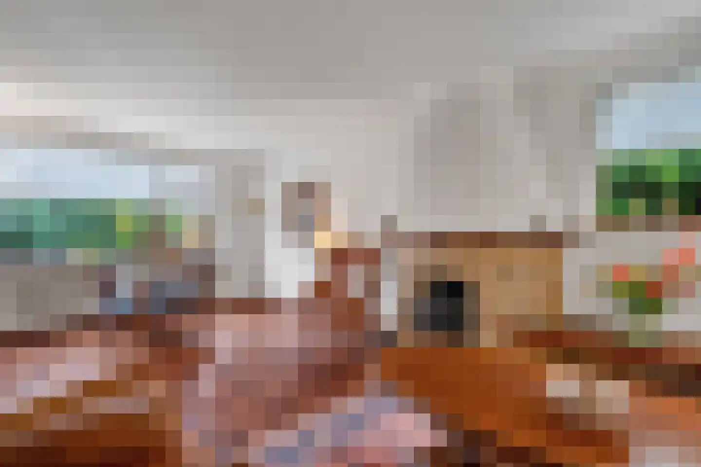 Hogeweg 17 Losser thumbnail 12