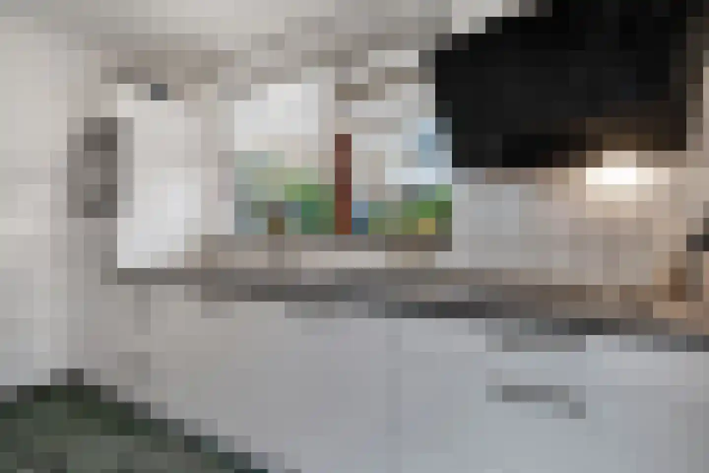 Hogeweg 17 Losser thumbnail 17