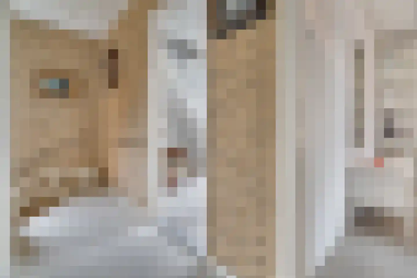 Hogeweg 17 Losser thumbnail 19