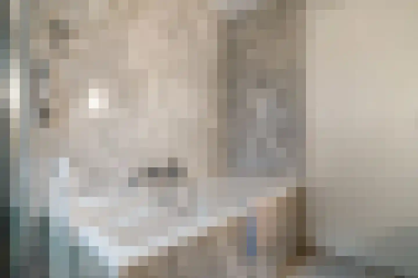 Hogeweg 17 Losser thumbnail 24