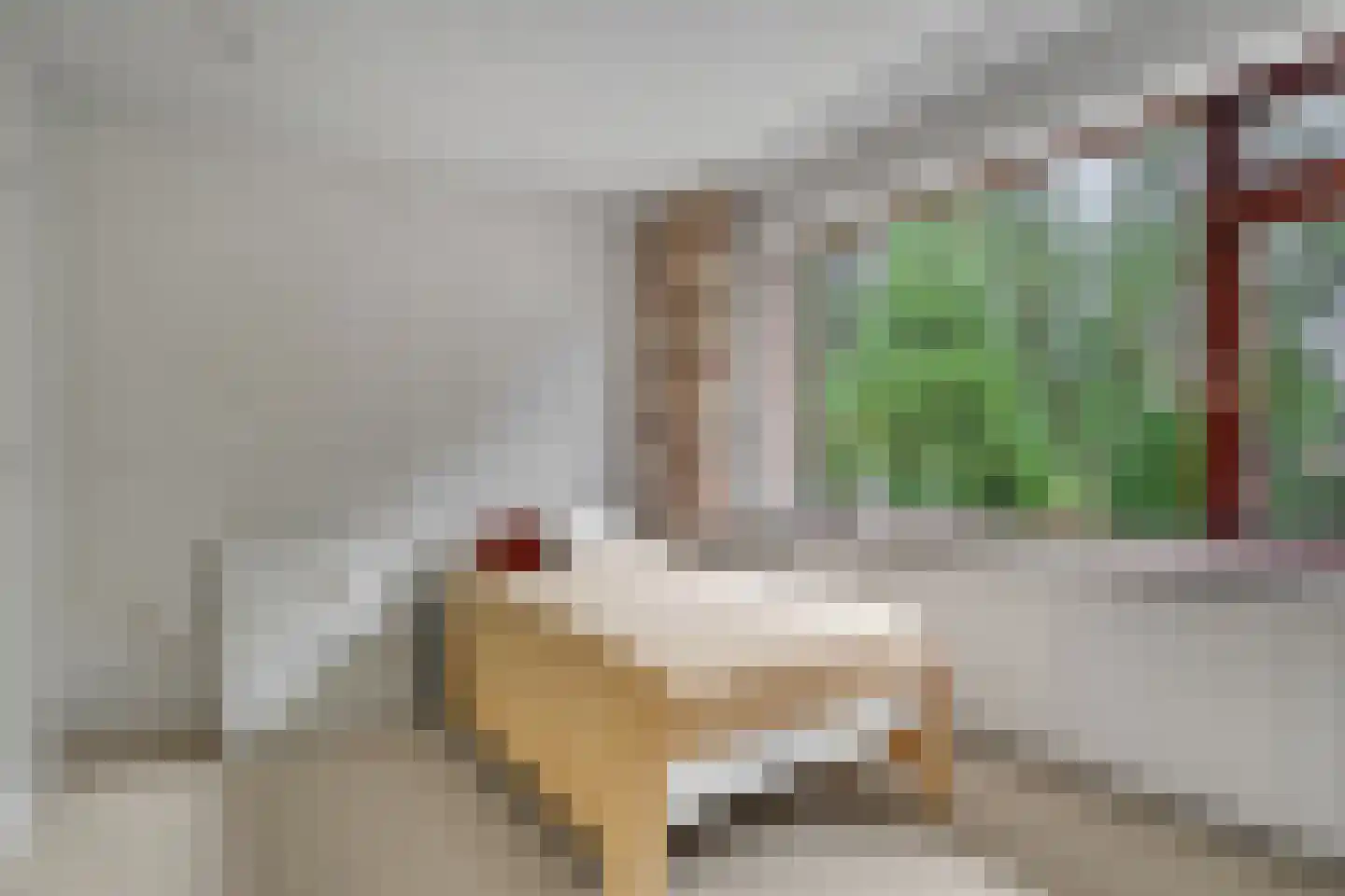 Hogeweg 17 Losser thumbnail 26