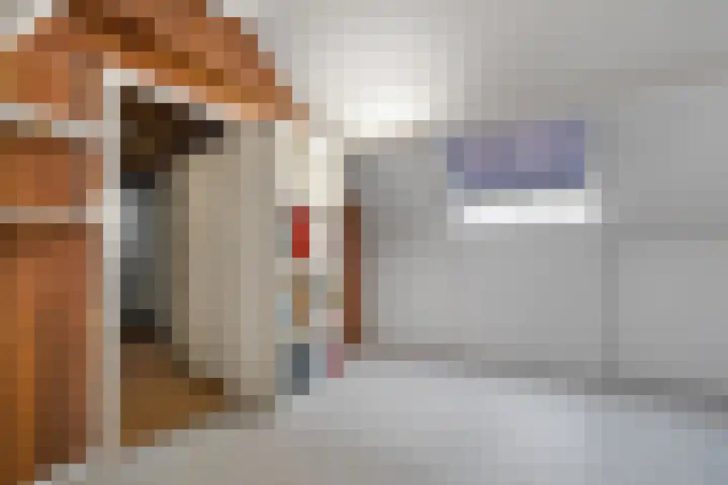 Hogeweg 17 Losser thumbnail 30