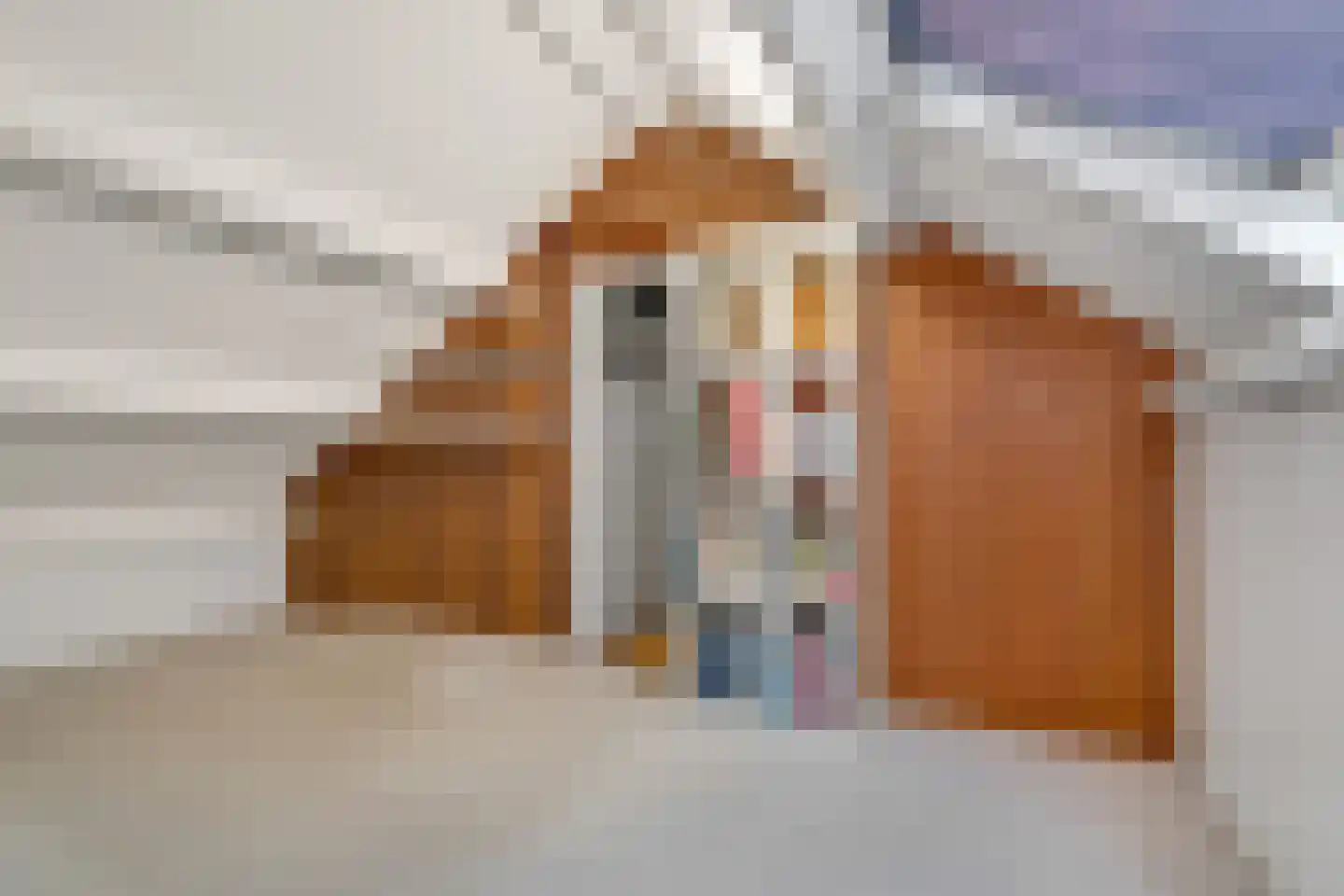 Hogeweg 17 Losser thumbnail 31