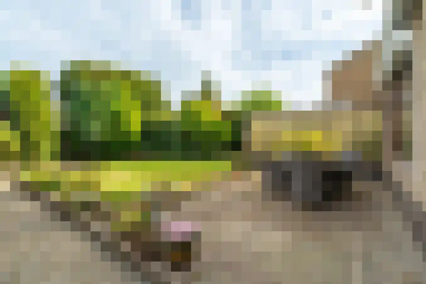 Hogeweg 17 Losser thumbnail 33
