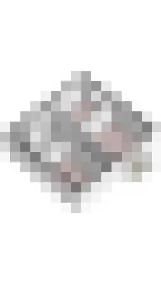 Hogeweg 17 Losser thumbnail 43