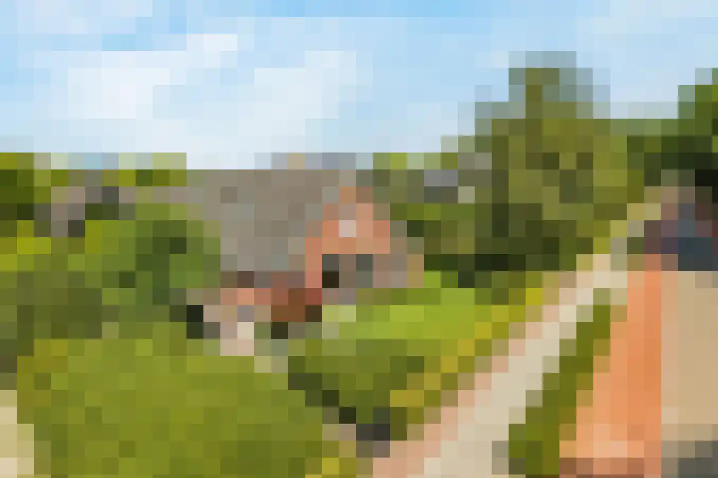 Hogeweg 178 Amersfoort thumbnail 11