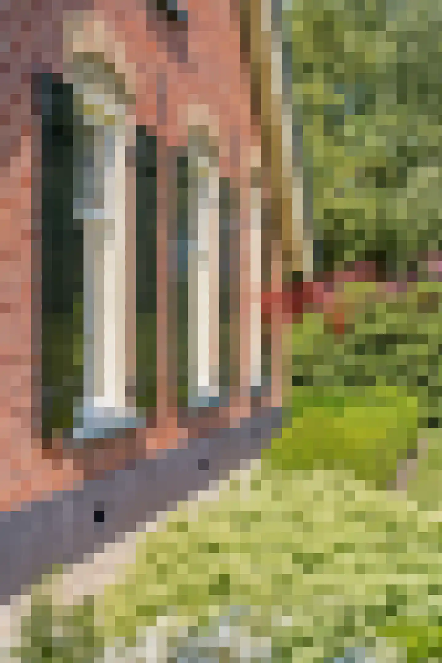 Hogeweg 178 Amersfoort thumbnail 18