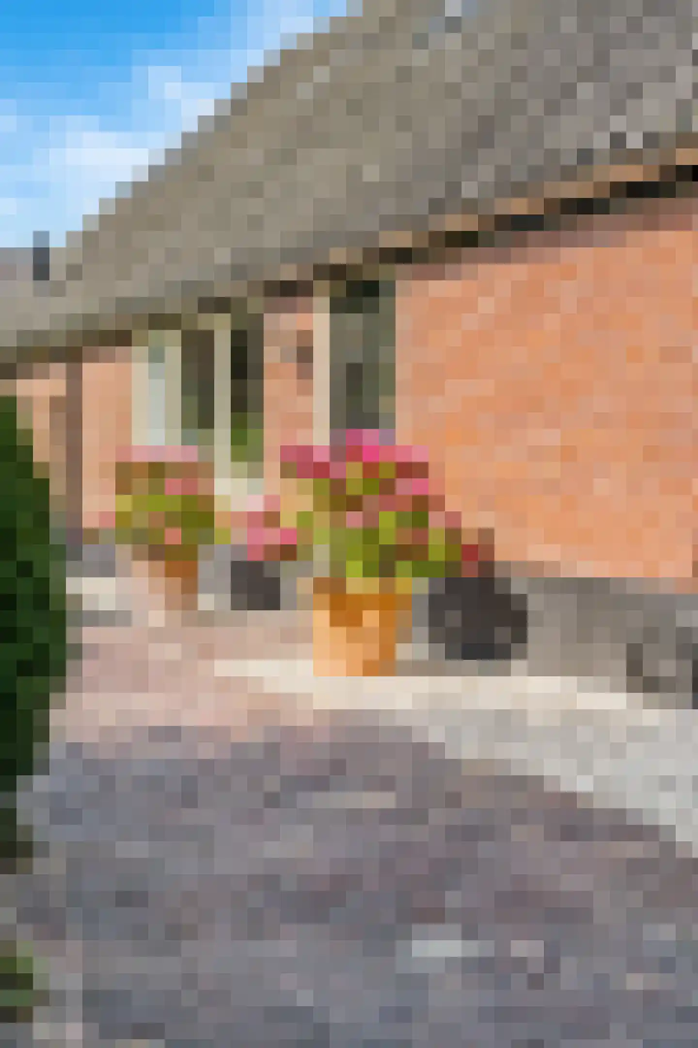 Hogeweg 178 Amersfoort thumbnail 20